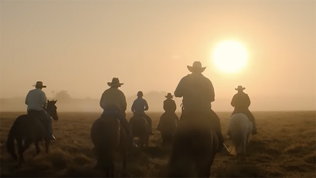 Territory bao gồm 6 mùa, phát sóng độc quyền trên kênh Netflix