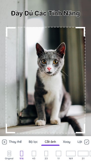 Nhiều công cụ chỉnh sửa ảnh khác