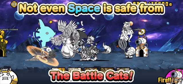 Tuyển mộ hàng chục chú mèo quý hiếm và xây dựng đội quân mèo tối thượng