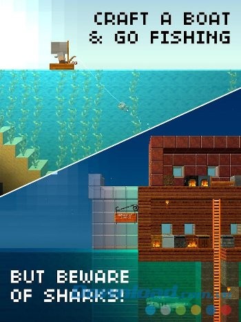 Phiêu lưu giữa biển khơi