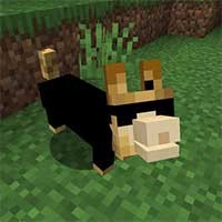 Corgis Mod Minecraft: Thêm chó Corgi vào thế giới Minecraft của bạn