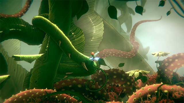 Tích lũy kinh nghiệm, phát triển kỹ năng và vượt qua vô số thử thách