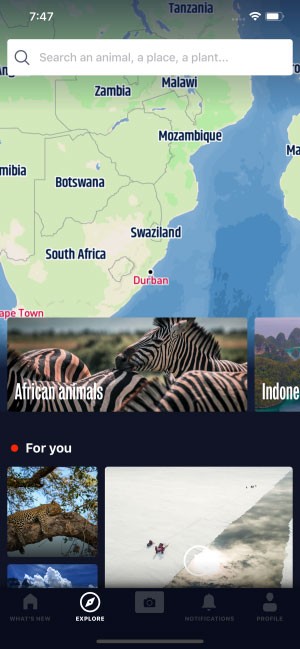 Xem ảnh và video chất lượng cao