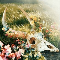 The Fading of Nicole Wilson - Game Săn ma Khách sạn Bỏ hoang