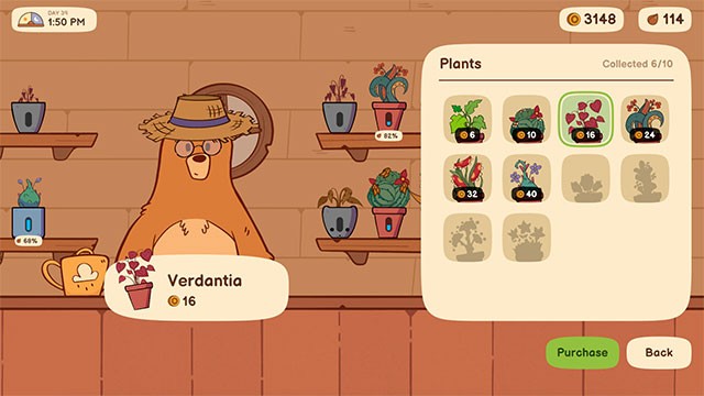 Trồng cây, trang trí cửa hàng và đắm chìm trong bầu không khí thư giãn