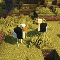 The Lost Biomes Mod - Khám phá quần xã sinh vật bị lãng quên