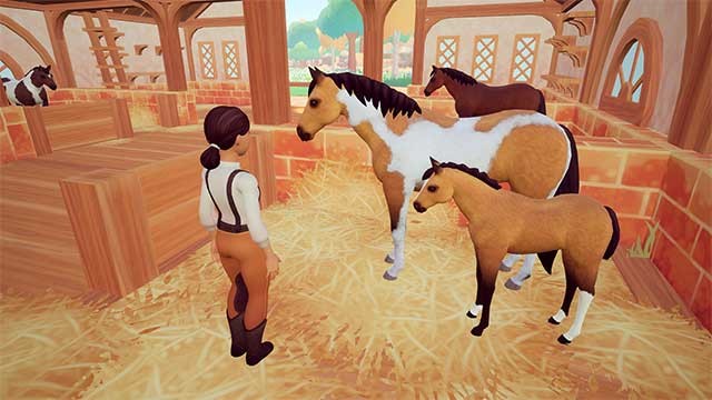 Chăm sóc ngựa và phát triển đàn ngựa của bạn