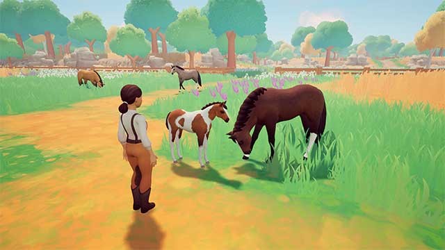 Nhân giống ngựa hoặc giao dịch tại nhà đấu giá