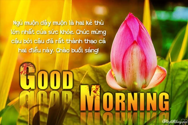Thiệp chúc buổi sáng