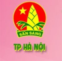 Cuộc thi tìm hiểu lịch sử 80 năm thành lập Đội TNTP Hồ Chí Minh