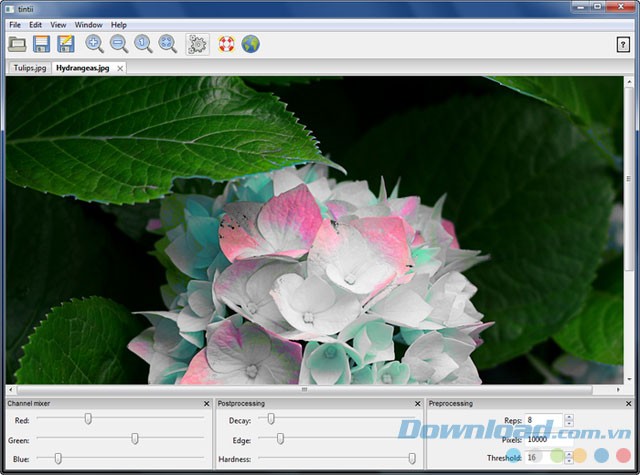 Giao diện phần mềm Tintii