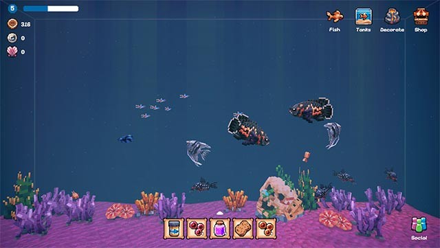 Ghé thăm bể cá của bạn bè, giúp đỡ và nhận thưởng