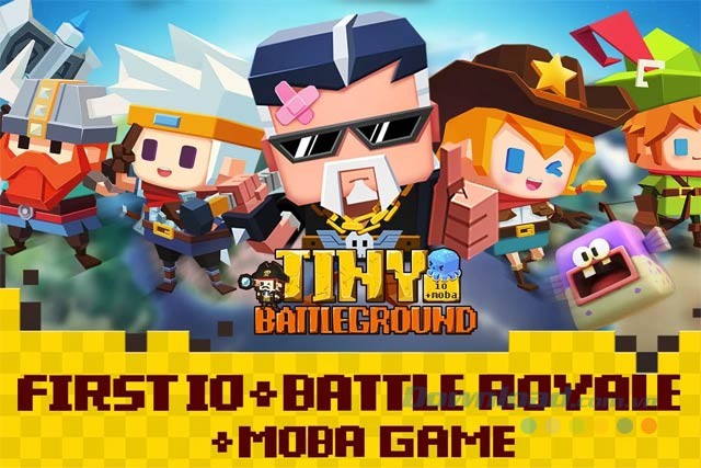 Sự kết hợp độc đáo giữa MOBA, IO và sinh tồn