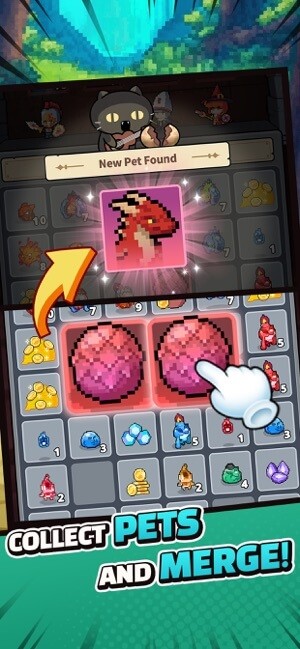 Thut thập pet và hợp nhất