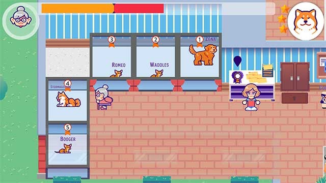 Tìm chú chó phù hợp với sở thích của khách để tăng cơ hội nhận nuôi