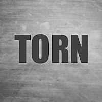 TORN for Android - Realistic Crime City Game