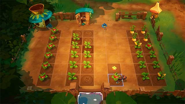 Trồng nhiều loài cây để làm nguyên liệu cho các món ăn