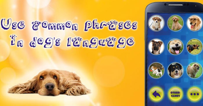 Dịch ngôn ngữ của bạn sang ngôn ngữ của loài chó dễ dàng bằng app Translator for dogs joke