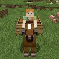 Transportables Mod: Khám phá Mod phương tiện đi lại mới