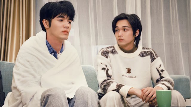 Trải nghiệm bốn câu chuyện tình yêu đa dạng