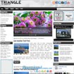 Triangle - Mẫu Wordpress cho Blog Công Nghệ