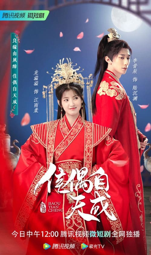 Poster phim Trời Sinh Một Cặp