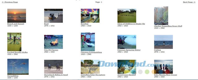 Hình ảnh trong từng chủ đề