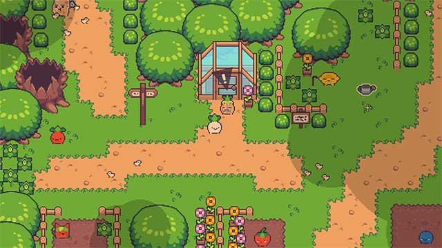 Trồng và thu hoạch thực vật để hỗ trợ bạn trong cuộc hành trình