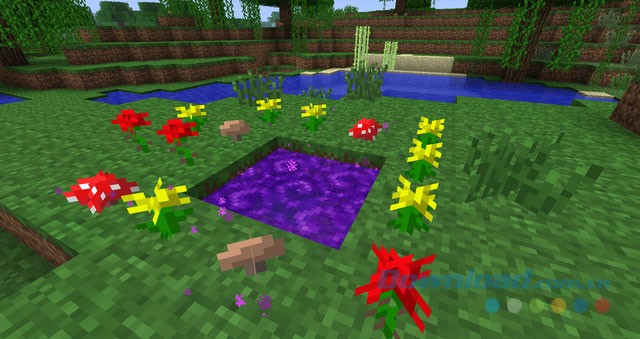 Khám phá biome mới trong Twilight Forest Mod