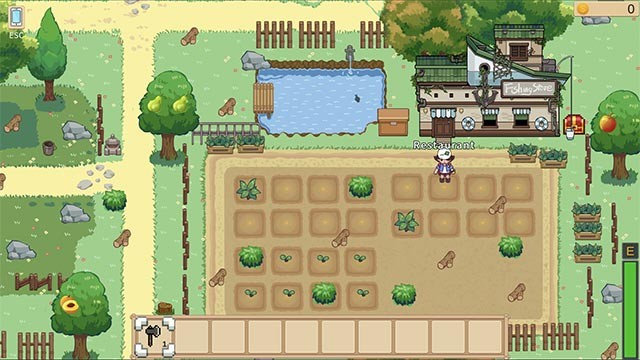 Luyện gõ 10 ngón để phát triển trang trại và hồi sinh thị trấn bình yên trong Typing Valley