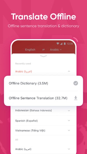 Dịch offline