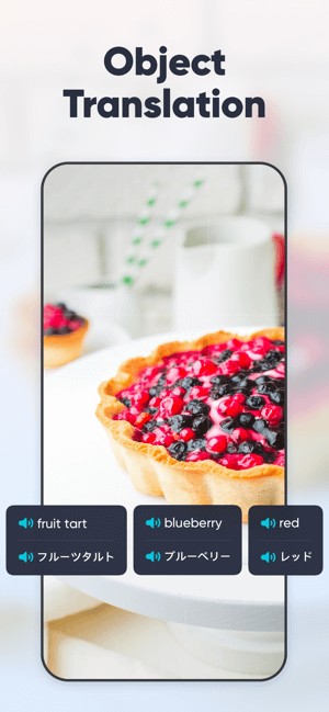 Dịch đối tượng