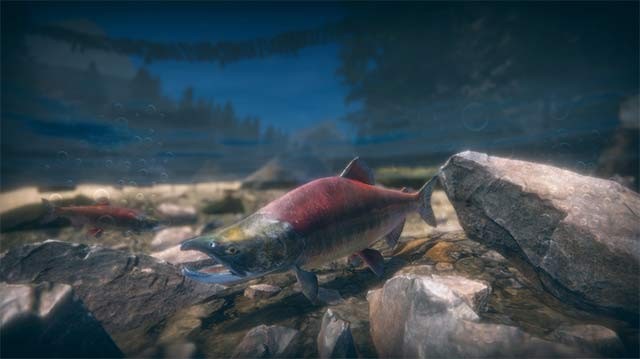 Mỗi loài cá trong Ultimate Fishing Simulator 2 có hành vi khác nhau do AI điều khiển