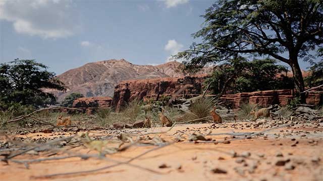 Không phải loài động vật nào cũng phù hợp để săn