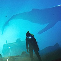 Under The Waves - Khám Phá Đại Dương Bí Ẩn