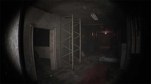 Sinh tồn trong thế giới hiện đại đang bị loài khủng long xâm chiếm