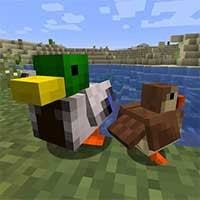 Mod Vịt Minecraft: Thêm Vịt vào Overworld