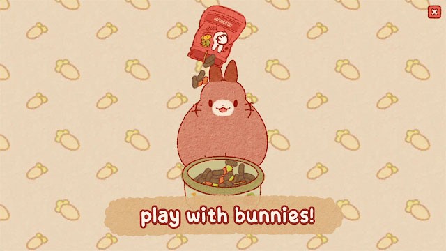 Khám phá và chụp hình hơn 30 chú thỏ với ngoại hình và đặc điểm độc đáo