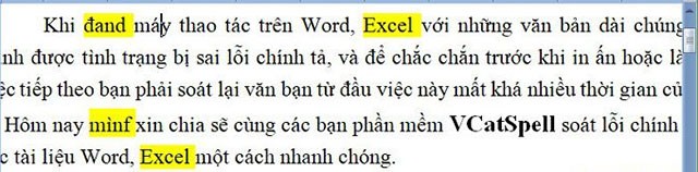 Giao diện báo lỗi khi sử dụng VCatSpell