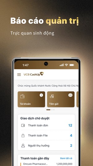 Báo cáo quản trị