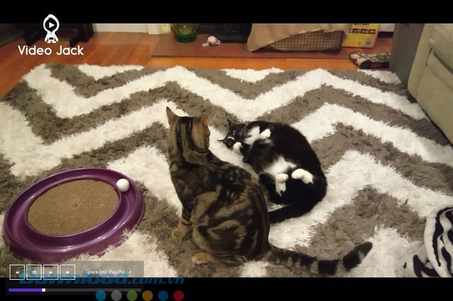 Giao diện phát video của Video Jack