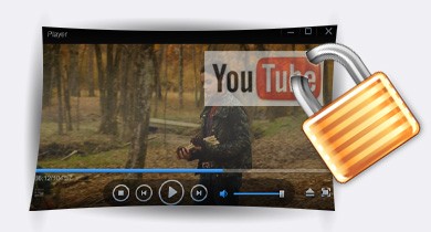 Đối tượng sử dụng Video Watermark Pro