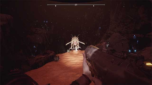 Phần lớn các sinh vật của Vidora dựa rất nhiều vào thính giác