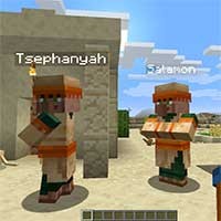 Villager Names Mod - Đặt tên cho Dân làng trong Minecraft