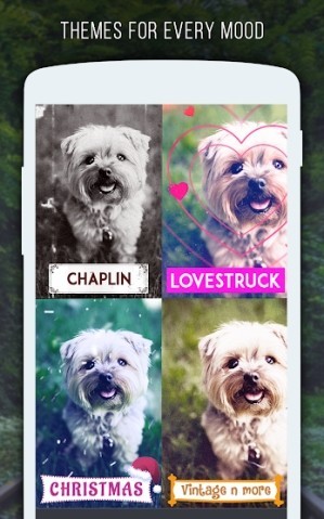 Nhiều chủ đề khác nhau