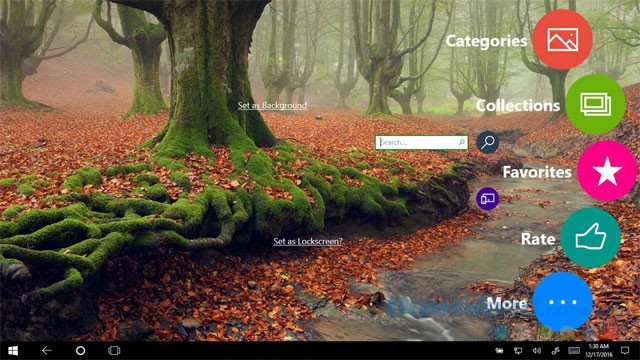 Tìm kiếm hình nền