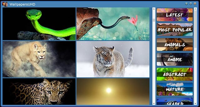 Hình nền 4K chủ đề động vật, tự nhiên, Anime... cho PC