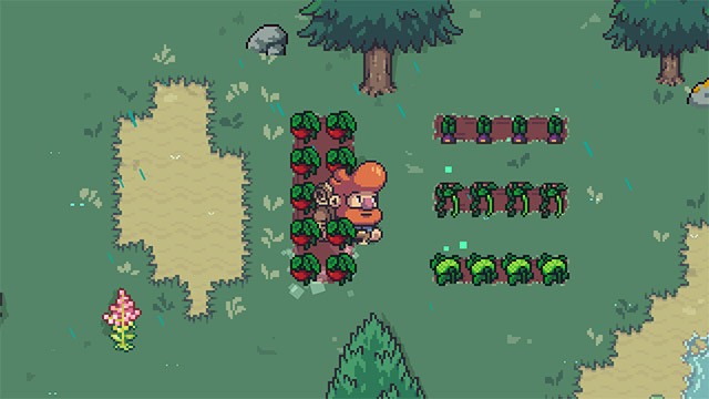 Tập trung trồng trọt để lấy lương thực, dự trữ cho mùa đông lạnh giá