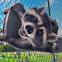 Wanted Raccoon: Game Gấu Mèo Quậy Phá Thành Phố Cực Hay