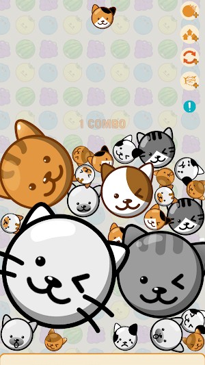 Nhiều chủ đề item hợp nhất khác độc đáo